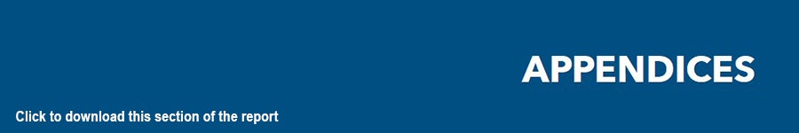 Blue box containing the words, “Appendices. Click to download this section of the report."