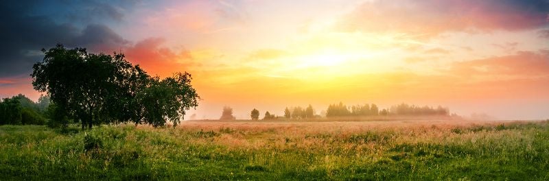 Agricultural fields at sunrise