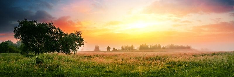 Agricultural fields at sunrise