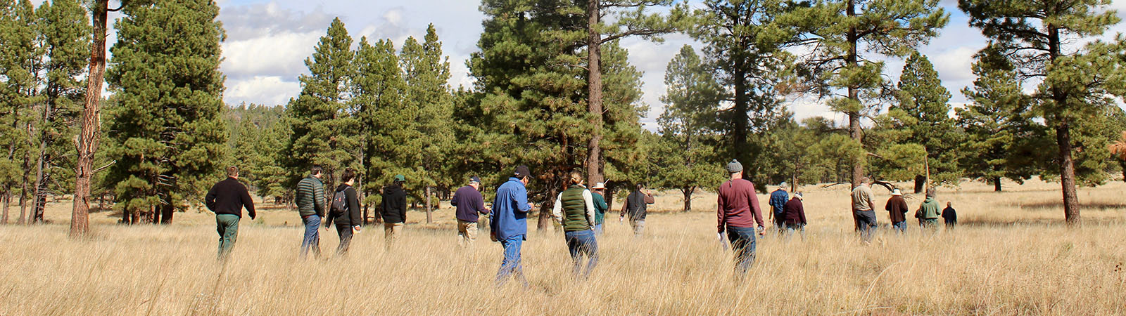 Team walking through wooded field