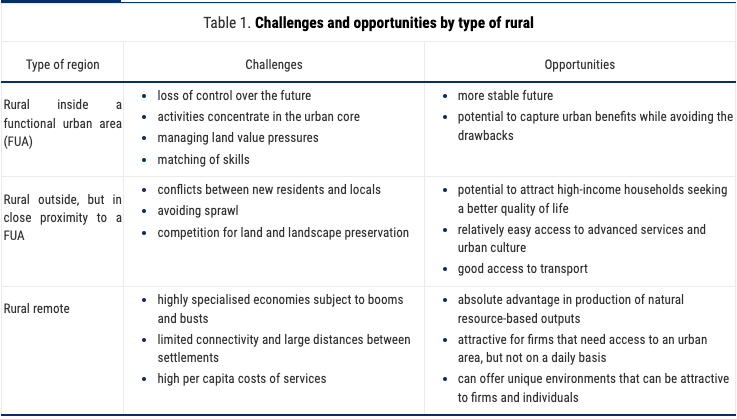 Challenges and Opportunities by Type of Rural table