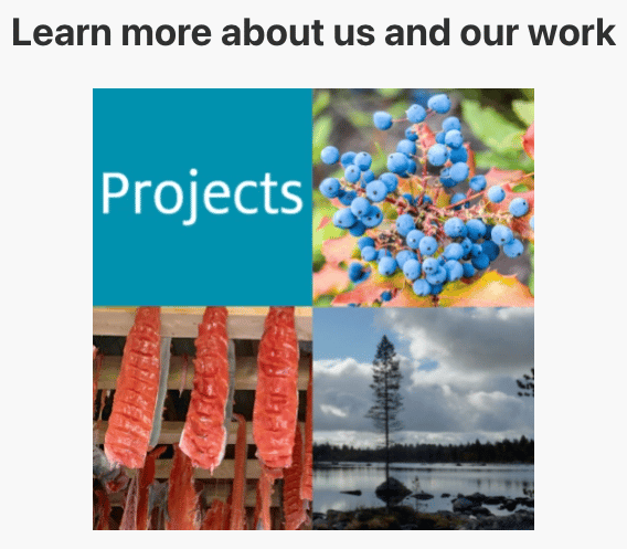 Projects page with text "learn more about us and our work"