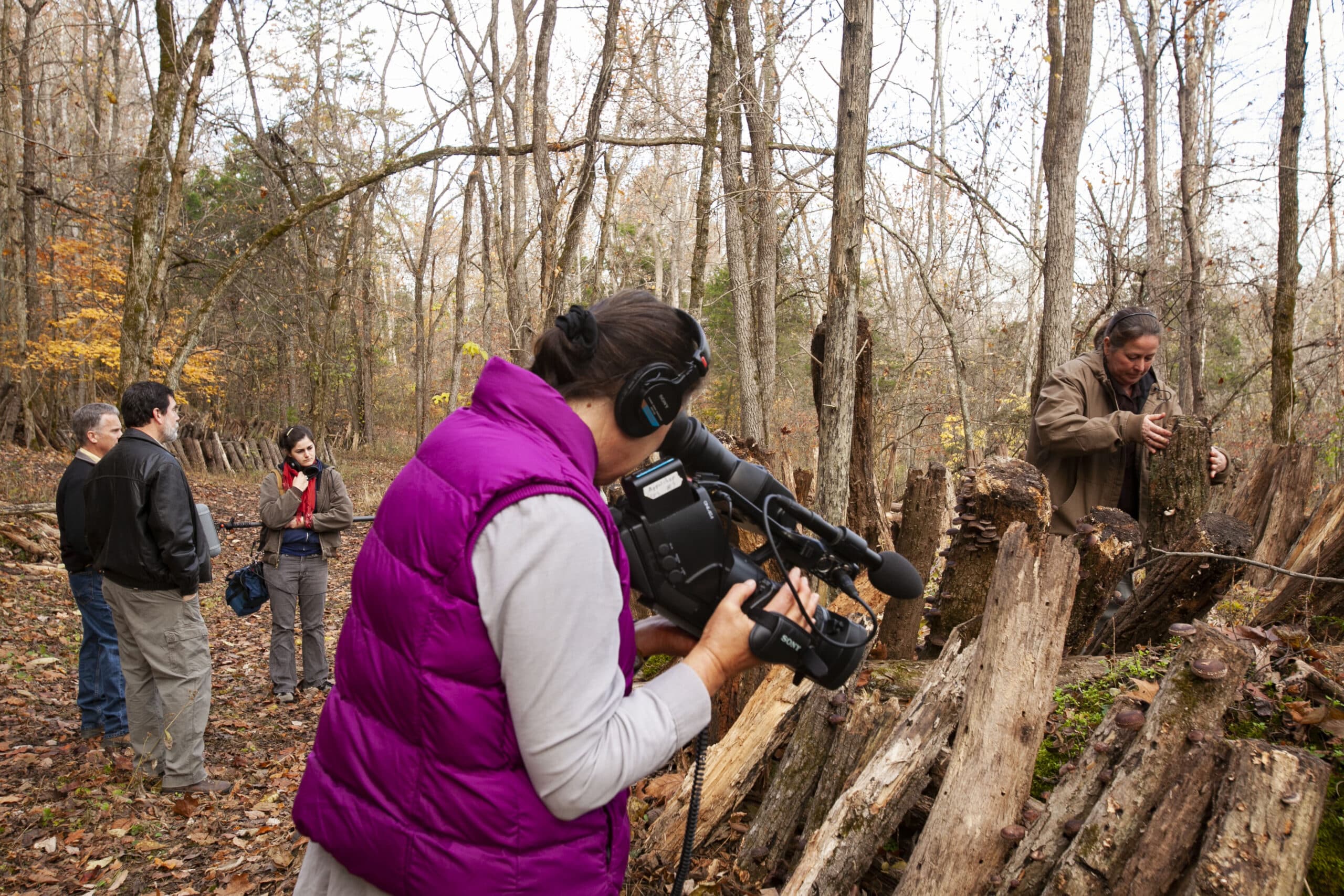 People stand in rural forest. Woman in pink vest has professional camera and records another woman and tree stumps.