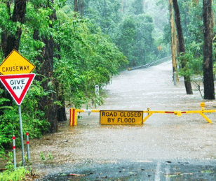 Road through forested area closed due to flooding