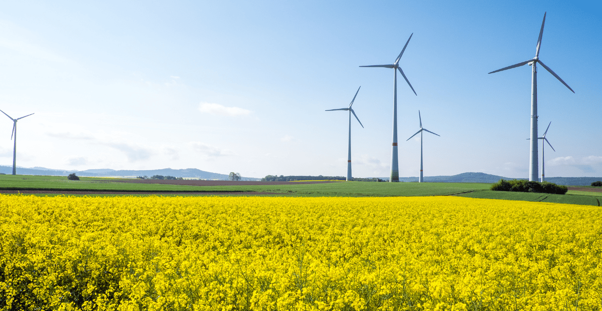 Field with wind turbines