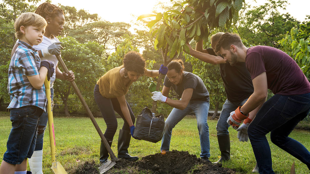Volunteer team planting trees