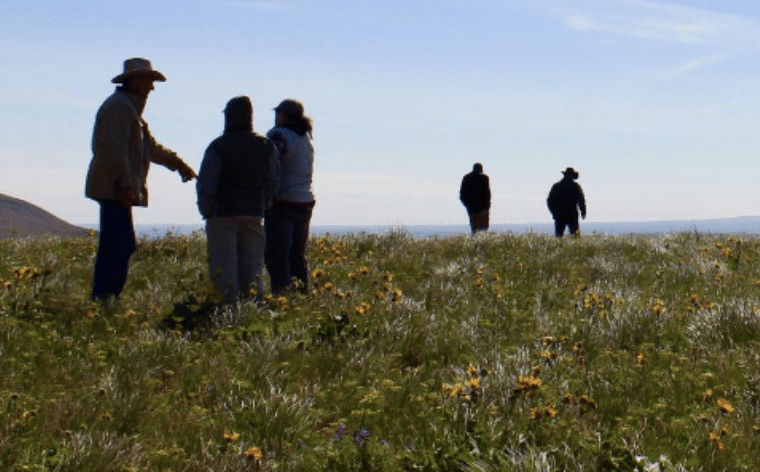 Group of five people goes on a mountainside nature walk