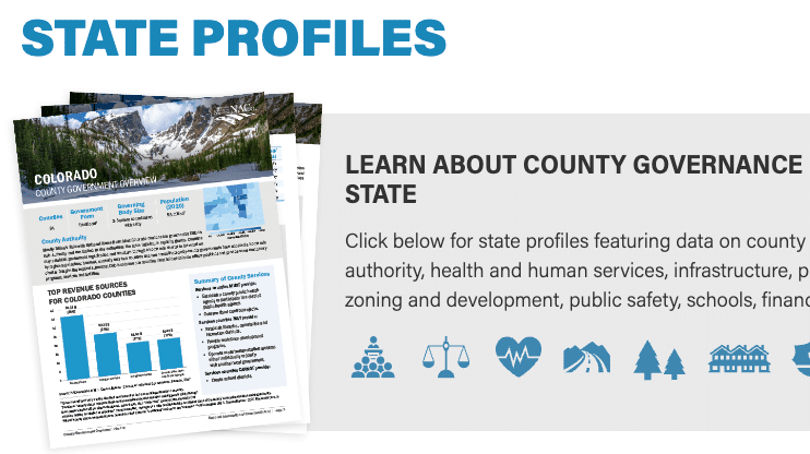 State Profiles, Learn about country governance icon button