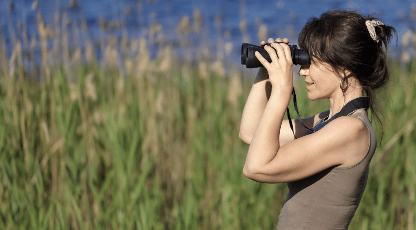 Person looking through binoculars is birdwatching near a body of water